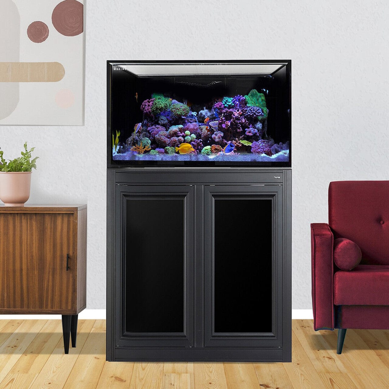 75 Gallon INT Complete Reef Aquarium - Innovative Marine