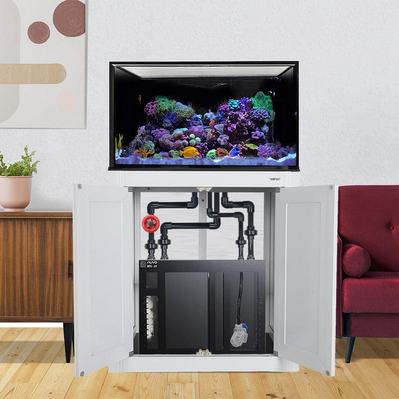 75 Gallon INT Complete Reef Aquarium - Innovative Marine White