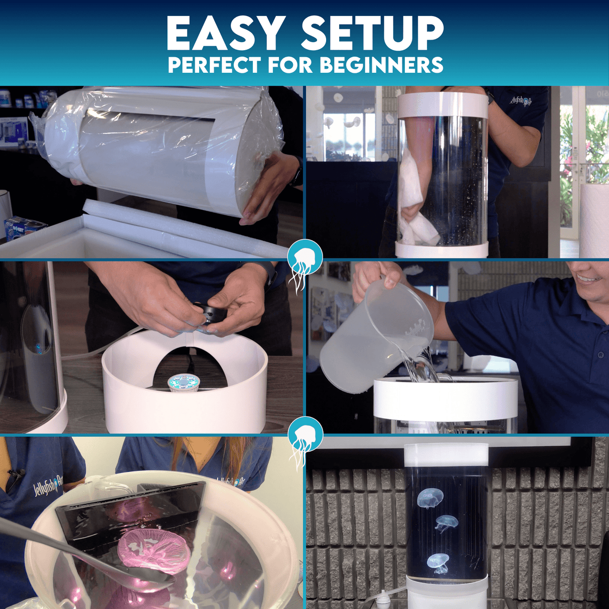 Jelly Cylinder 5 (Black) - 5 Gallon Saltwater Tank (Aquarium only) - Jellyfish Art