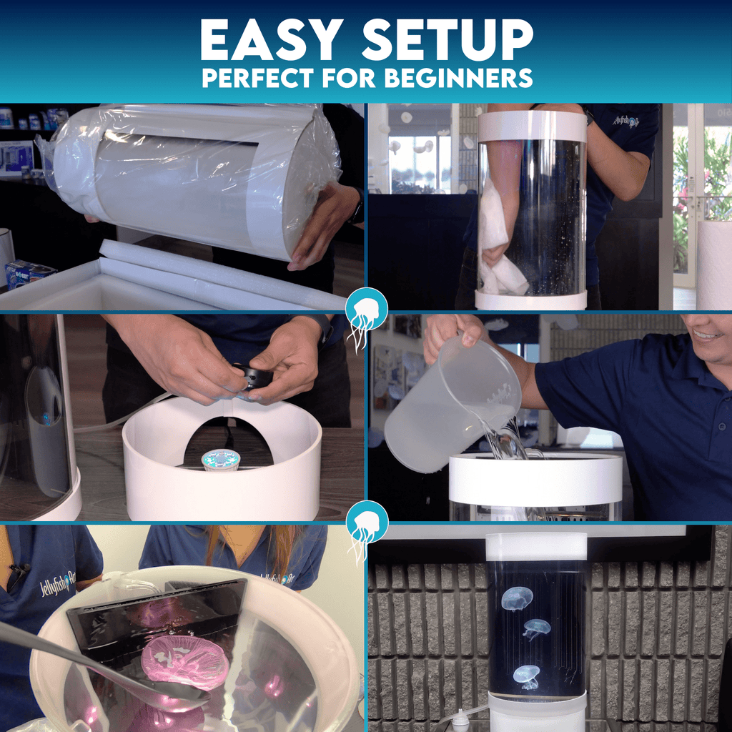 Jelly Cylinder 5 (Black) - 5 Gallon Saltwater Tank (Aquarium only) - Jellyfish Art