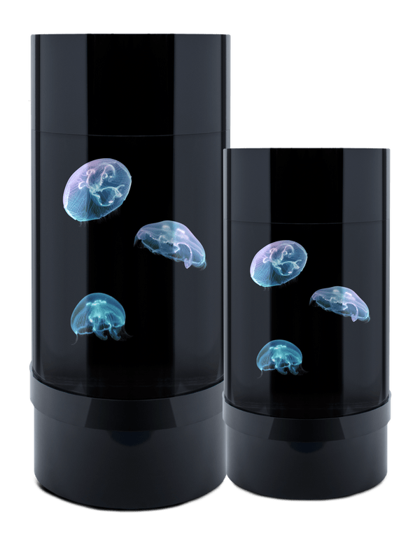 Jelly Cylinder 5 (Black) - 5 Gallon Saltwater Tank (Aquarium only) - Jellyfish Art