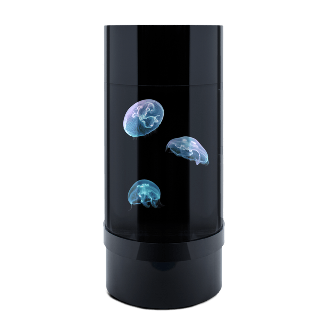 Jelly Cylinder 5 (Black) - 5 Gallon Saltwater Tank (Aquarium only) - Jellyfish Art