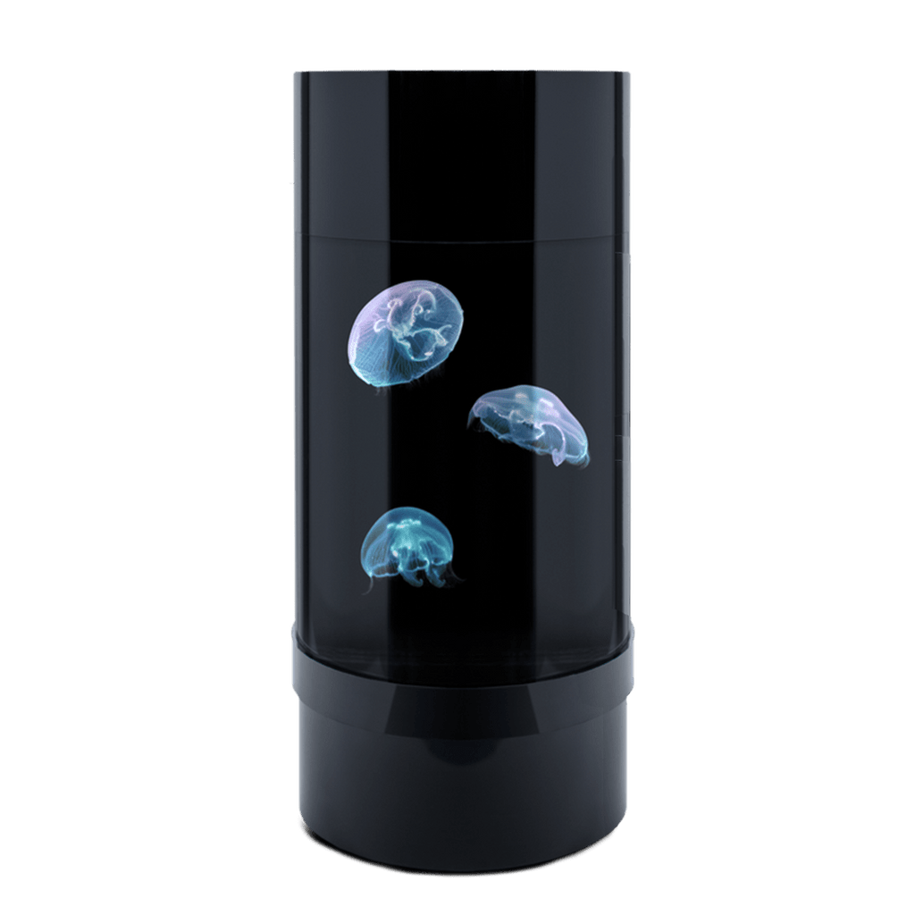 Jelly Cylinder 5 (Black) - 5 Gallon Saltwater Tank (Aquarium only) - Jellyfish Art