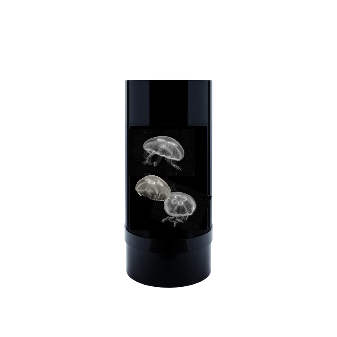 Jelly Cylinder 5 (Black) - 5 Gallon Saltwater Tank (Aquarium only) - Jellyfish Art
