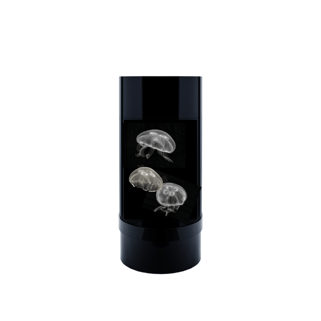 Jelly Cylinder 5 (Black) - 5 Gallon Saltwater Tank (Aquarium only) - Jellyfish Art