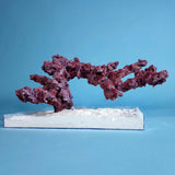 Custom Dry Live Rock Aquascape #20