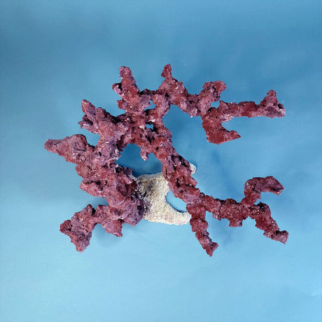 Custom Dry Live Rock Aquascape #20