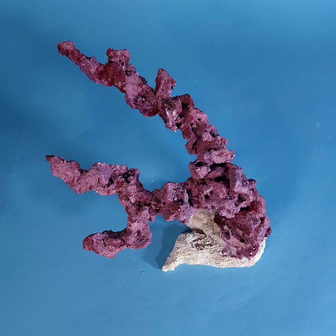 Custom Dry Live Rock Aquascape #21