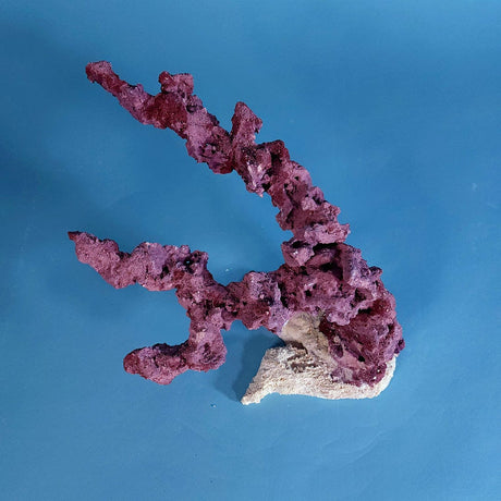 Custom Dry Live Rock Aquascape #21
