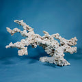 Custom Dry Live Rock Aquascape #29