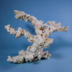 Custom Dry Live Rock Aquascape #42