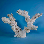Custom Dry Live Rock Aquascape #43