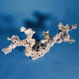 Custom Dry Live Rock Aquascape #(DRAFT 03)