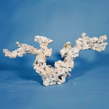 Custom Dry Live Rock Aquascape #(DRAFT 03)