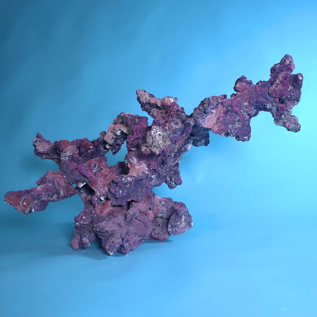 Custom Dry Live Rock Aquascape (Purple 3)