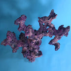Custom Dry Live Rock Aquascape (Purple 3)