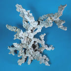 Custom Dry Live Rock Aquascape #?? (Scape 01)