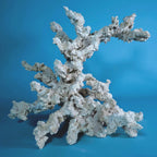 Custom Dry Live Rock Aquascape #?? (Scape 01)