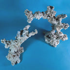 Custom Dry Live Rock Aquascape #?? (Scape 03)