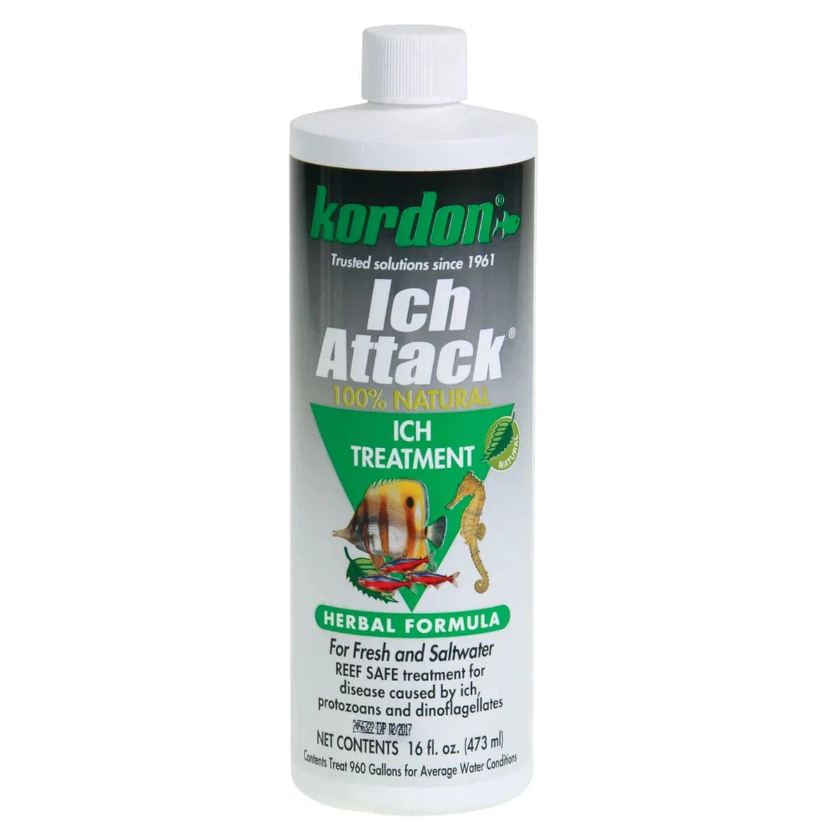 Ich-Attack - 16 oz - Kordon