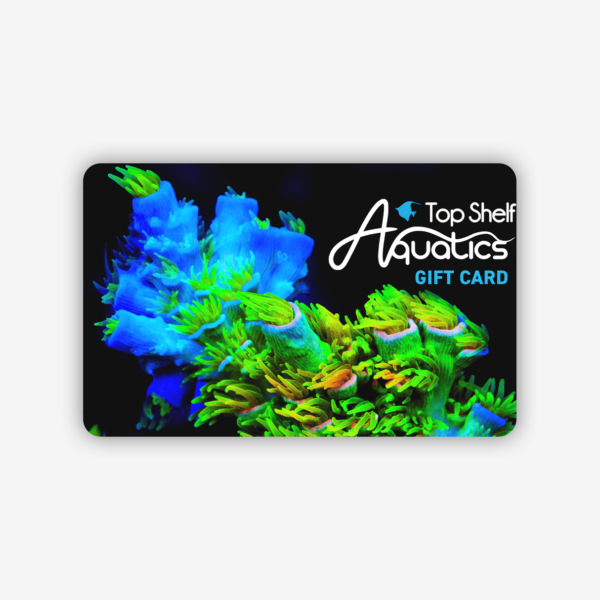 Top Shelf Aquatics - Gift Card $25 / Atomic Fusion Acro