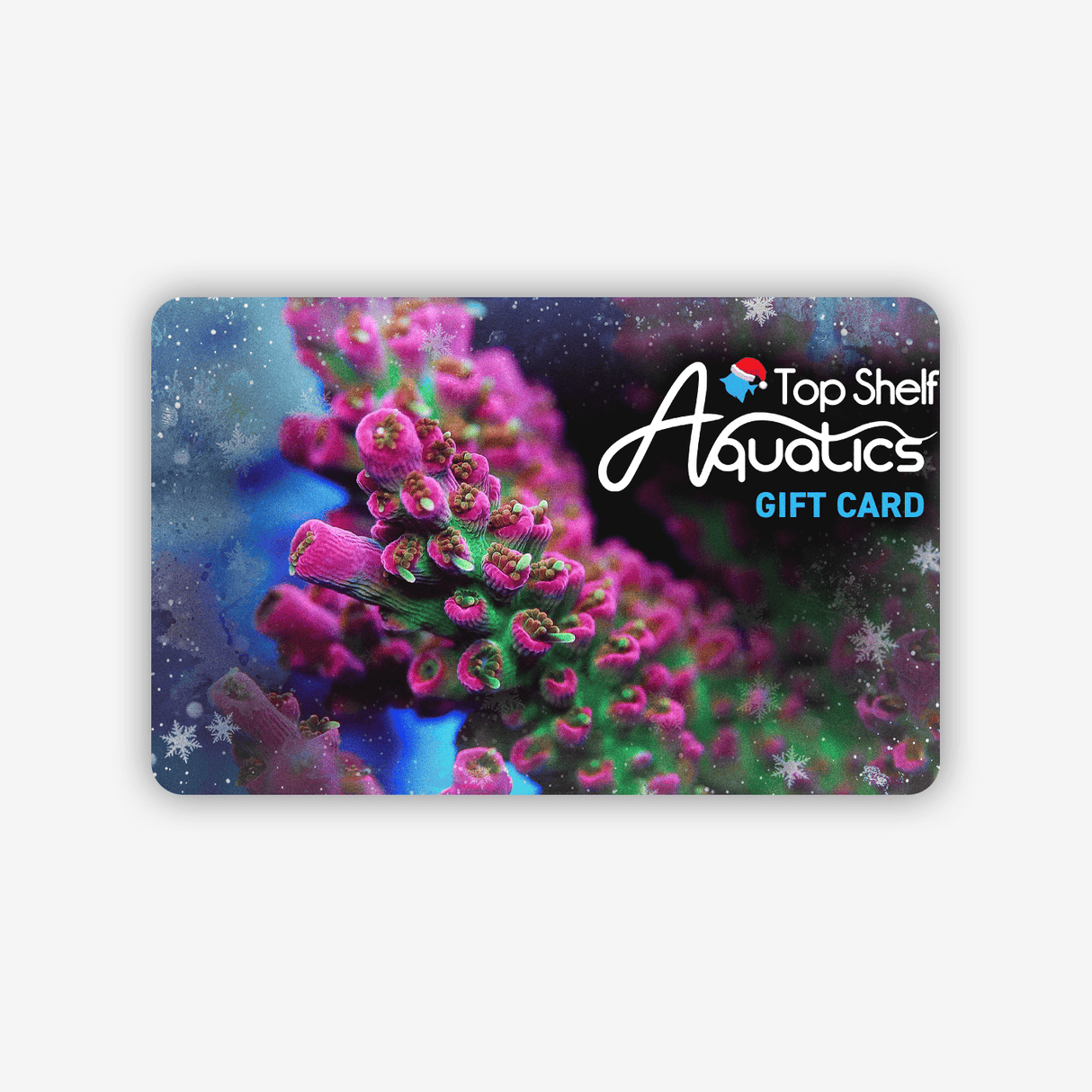 Top Shelf Aquatics - Gift Card $25 / Holiday - Vivid’s Confetti Acro