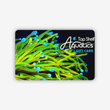 Top Shelf Aquatics - Gift Card $25 / Holy Grail Torch