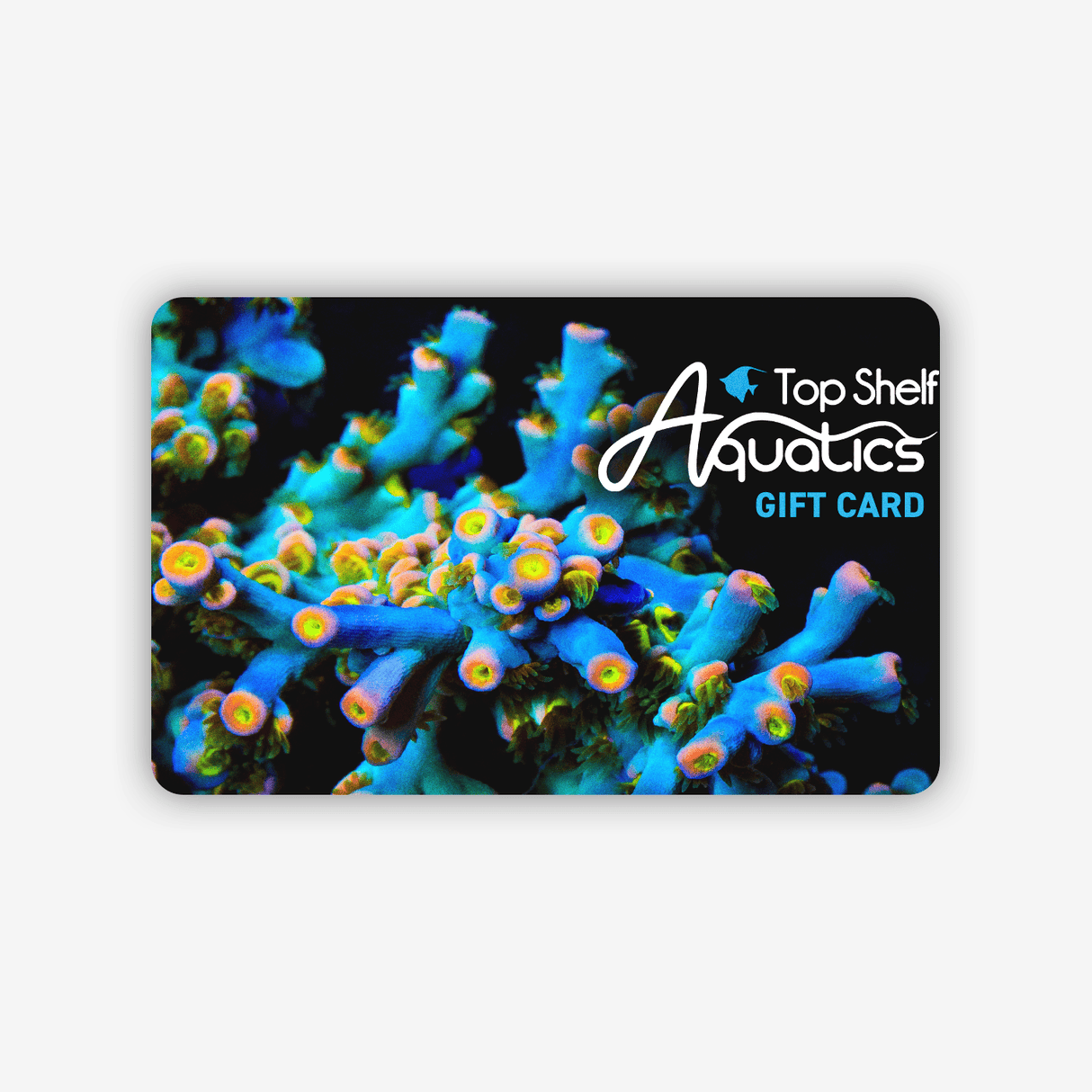 Top Shelf Aquatics - Gift Card $25 USD / Easter Sunday Acro