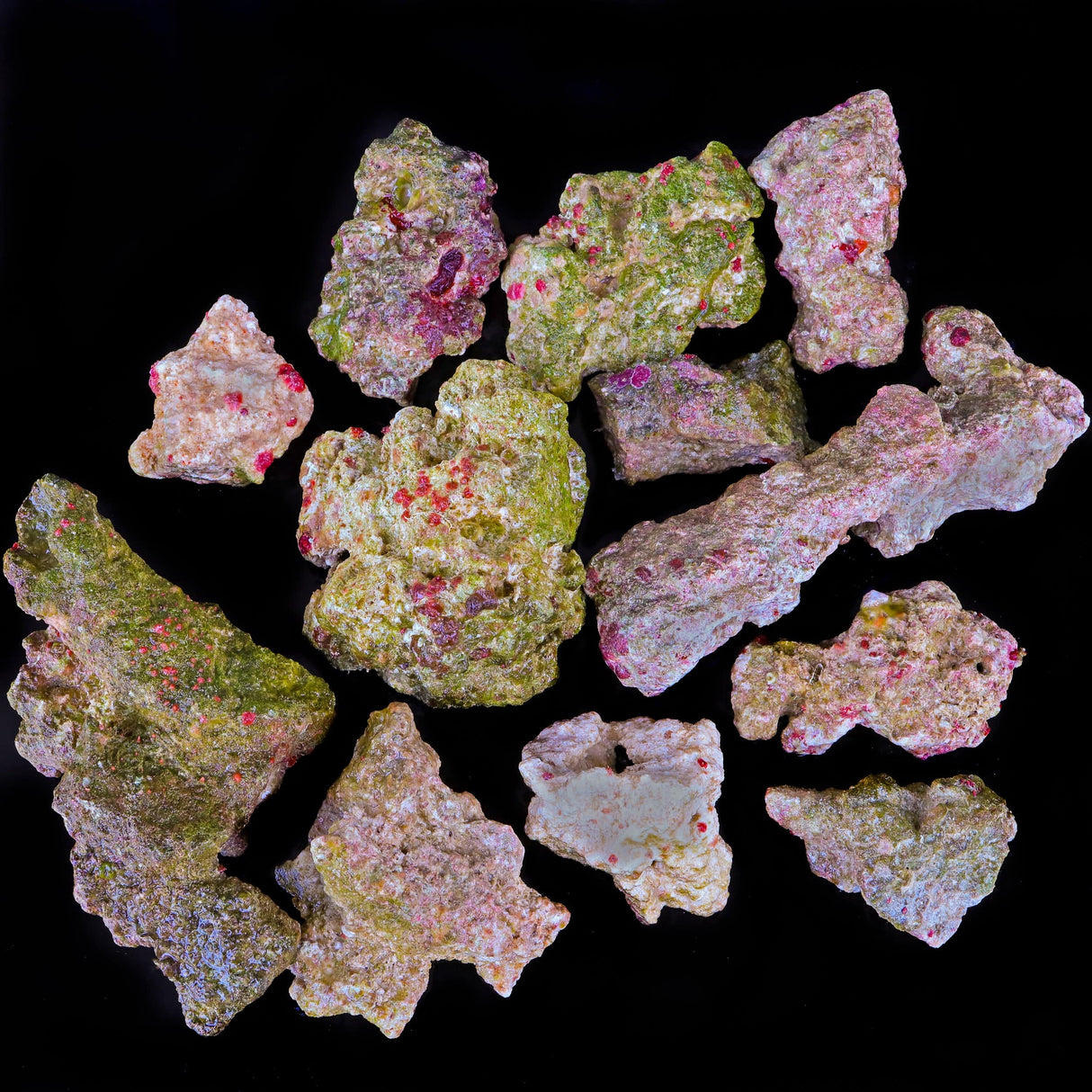 MarcoRocks Maricultured Rubble Live Rock