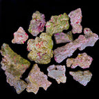MarcoRocks Maricultured Rubble Live Rock