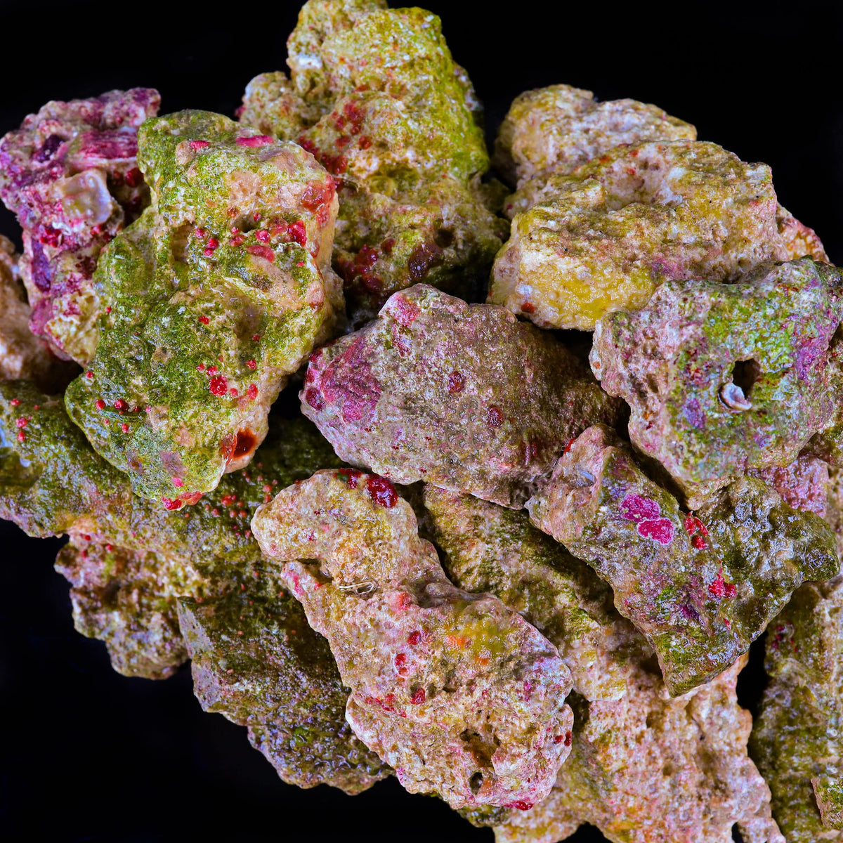 MarcoRocks Maricultured Rubble Live Rock – Top Shelf Aquatics