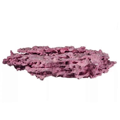 Shelf Rock- Per Pound - MarcoRocks Coraline