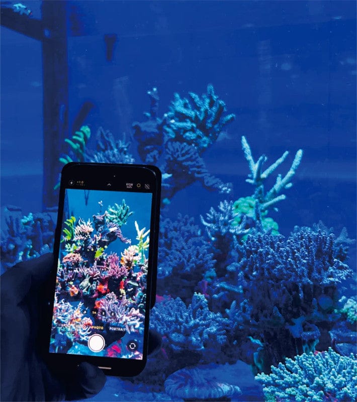 TrueReef Photo Lens - Maxspect