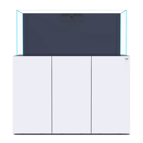 OPUS G2 440 Pro-Line - White - Nyos