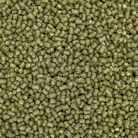 Formula Two Marine Pellets - Ocean Nutrition