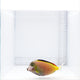 Powder Brown Tang Fish