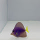 Captive-Bred Purple Tang