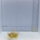Dwarf Lionfish