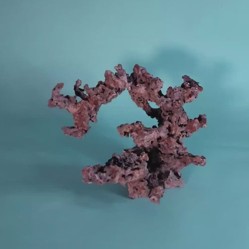 Custom Dry Live Rock Aquascape #09