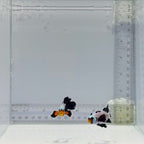 Premium Longfin BulletHole Clownfish Pair