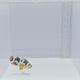 Bali Aquarich Nebula Picasso Clownfish — Amphiprion percula