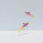 Helfrichi Firefish Goby - Nemateleotris helfrichi
