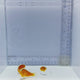 Trio Orange Skunk Clown Fish