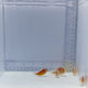 Pink Skunk School Clownfish