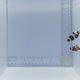 Mocha Gladiator Pair Clownfish