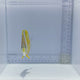 Marginalis Butterfly Fish