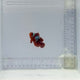 Lighting Maroon Clownfish