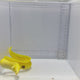 Banana Eel Fish