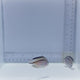 Lamarck Pair Angelfish