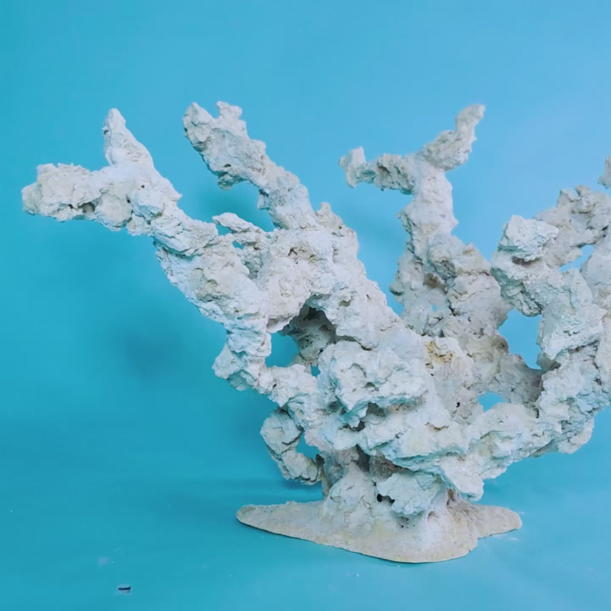 Custom Dry Live Rock Extreme Branch Aquascape #57